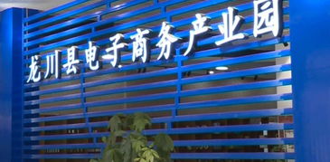 縣工信局主動對接粵港澳大灣區，以產業共建與電商平臺開發助推縣域經濟高質量發展